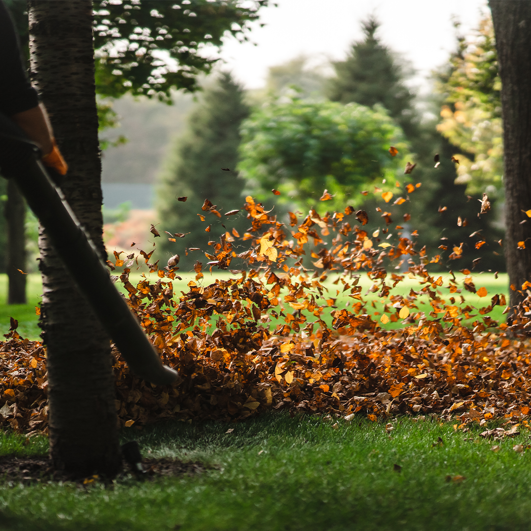 Seasonal clean-up service