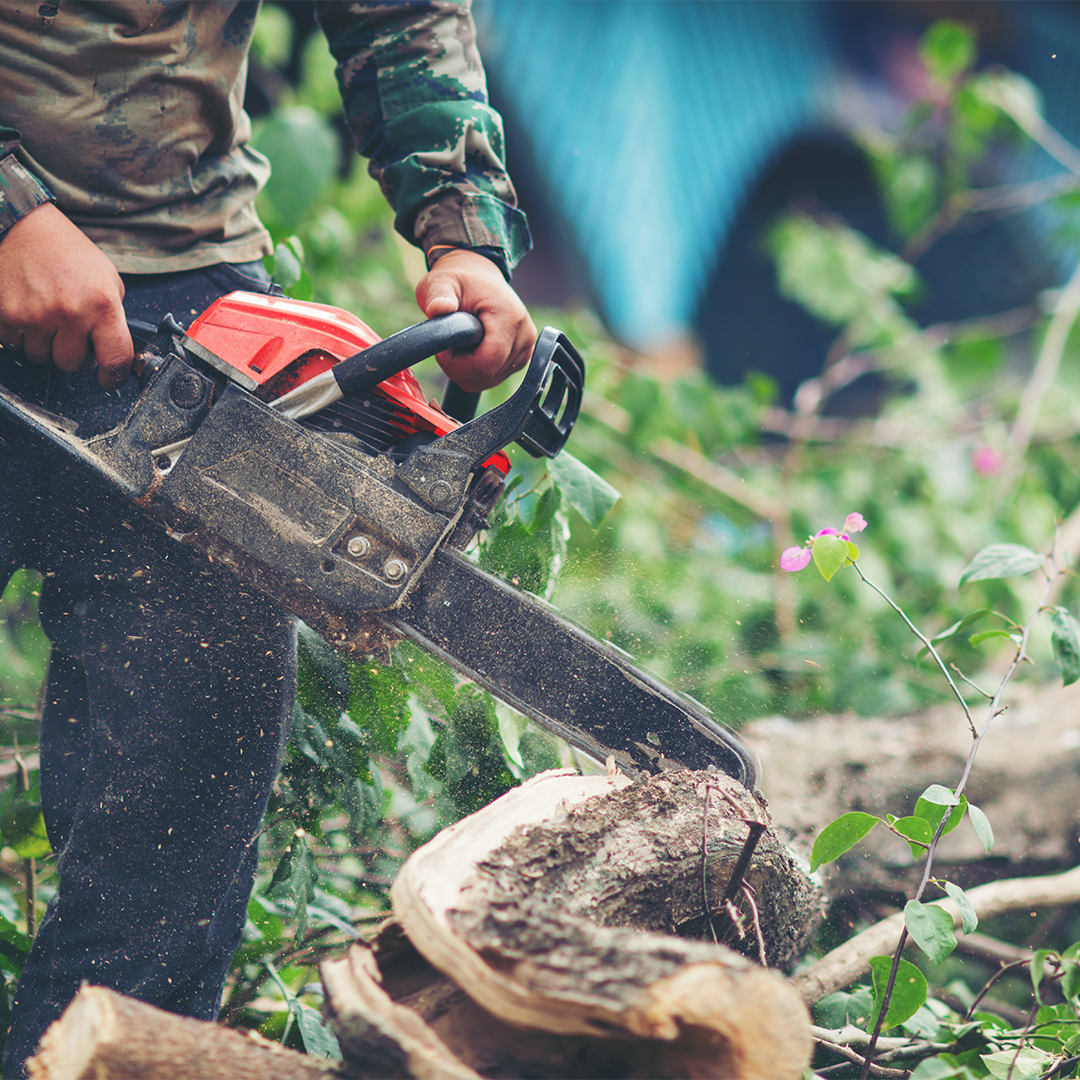 Tree services