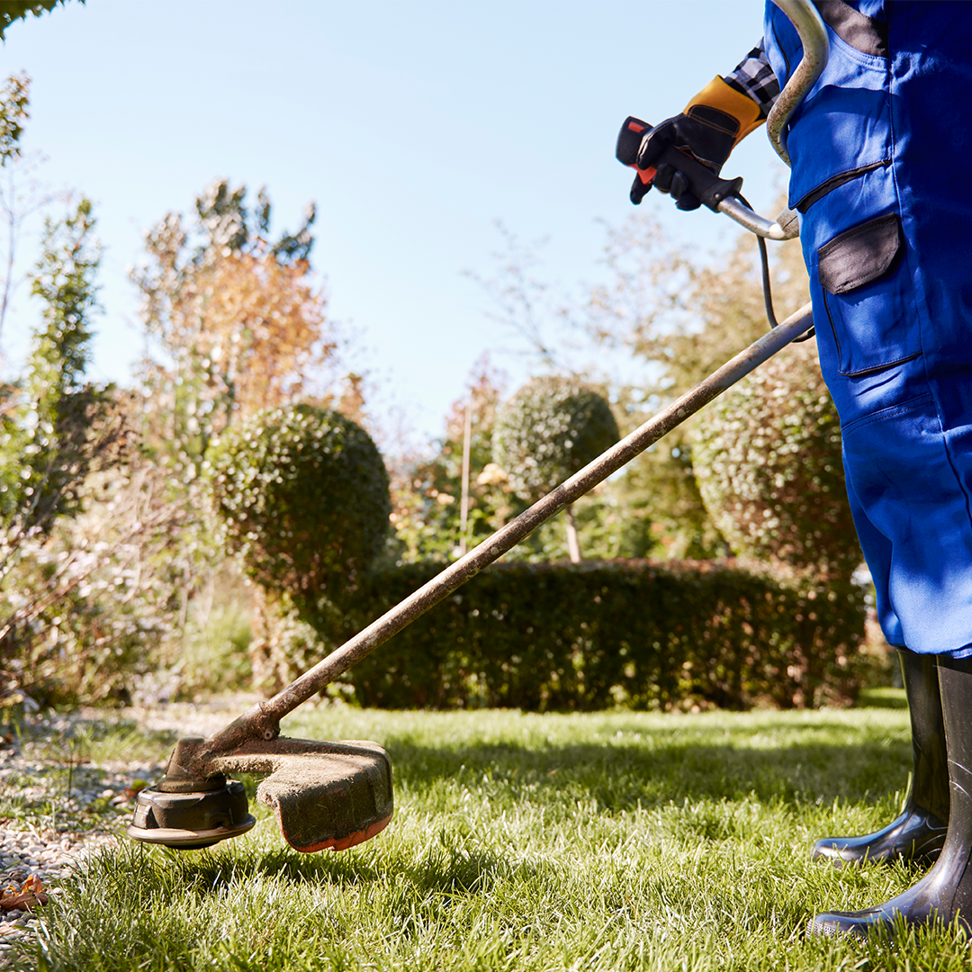 Weed control service